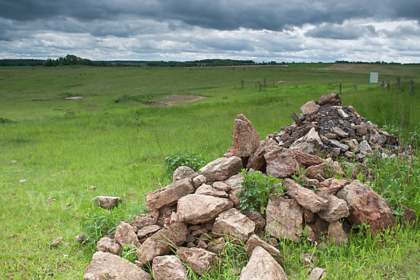 Thüringen (Thuringia)