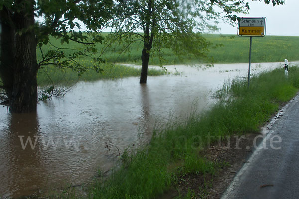 Thüringen (Thuringia)