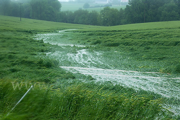 Thüringen (Thuringia)