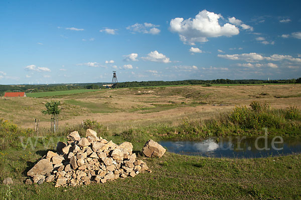 Thüringen (Thuringia)