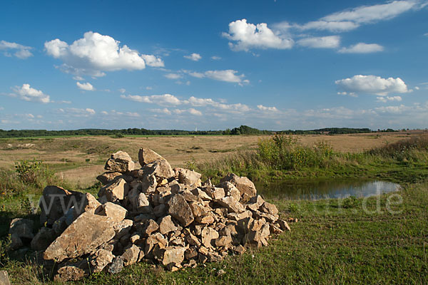 Thüringen (Thuringia)