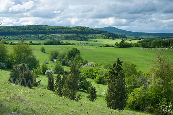 Thüringen (Thuringia)