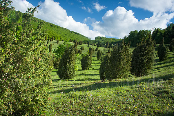 Thüringen (Thuringia)