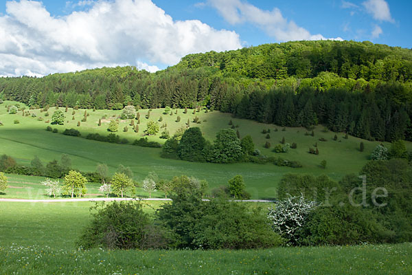 Thüringen (Thuringia)