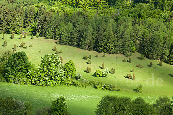 Thüringen (Thuringia)