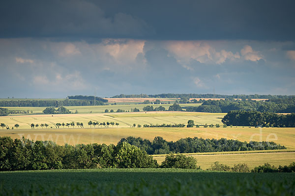 Thüringen (Thuringia)