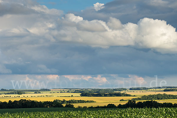 Thüringen (Thuringia)