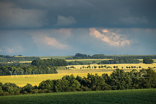 Thüringen (Thuringia)