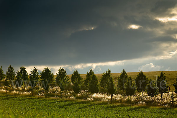 Thüringen (Thuringia)