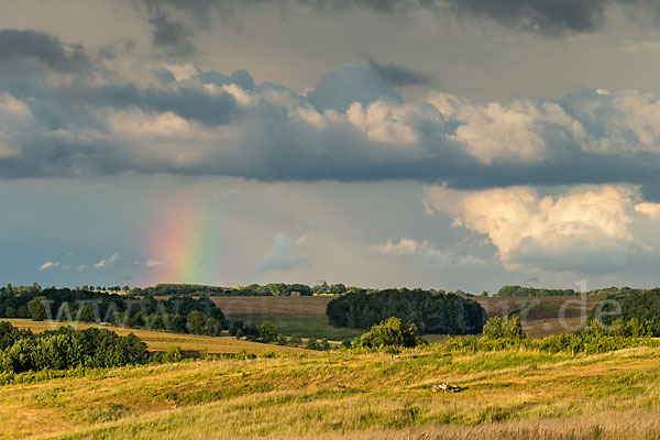 Thüringen (Thuringia)