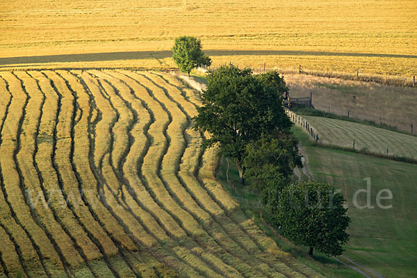 Thüringen (Thuringia)