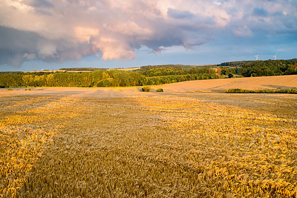 Thüringen (Thuringia)