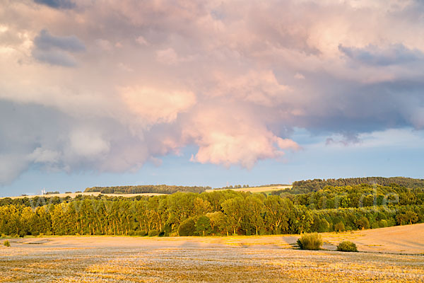 Thüringen (Thuringia)