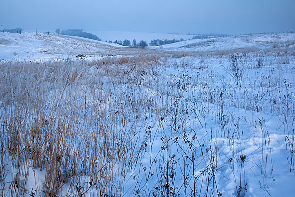 Thüringen (Thuringia)