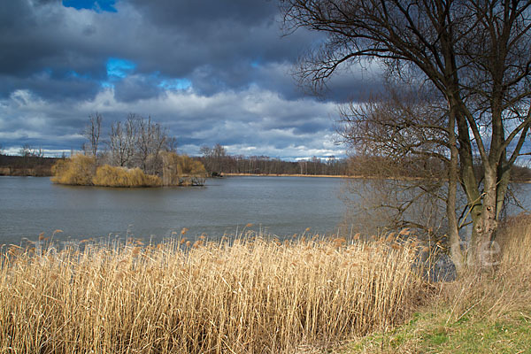 Thüringen (Thuringia)