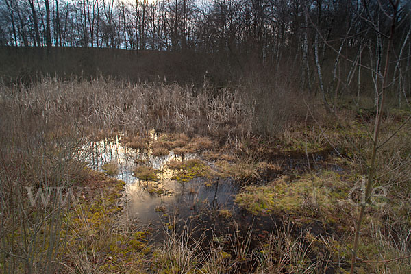 Thüringen (Thuringia)