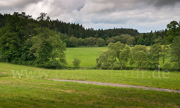 Thüringen (Thuringia)