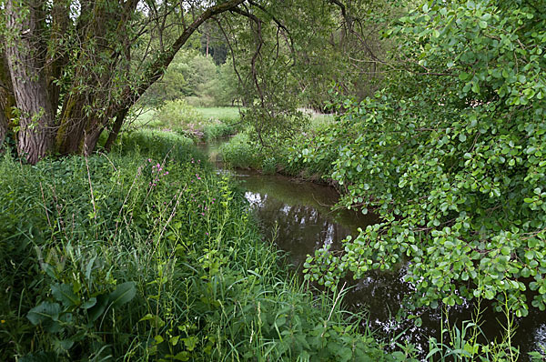 Thüringen (Thuringia)