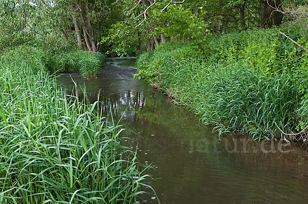 Thüringen (Thuringia)