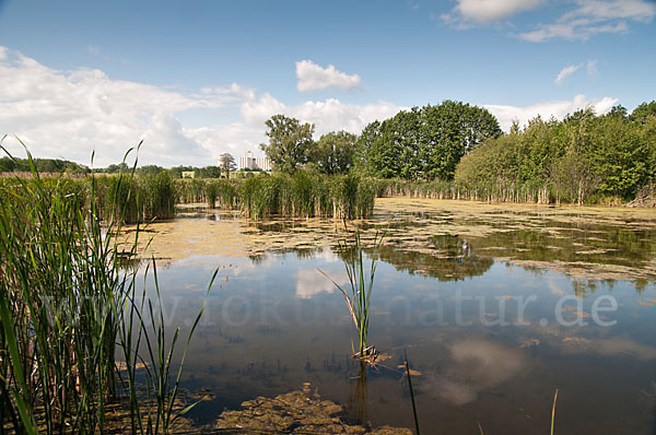 Thüringen (Thuringia)