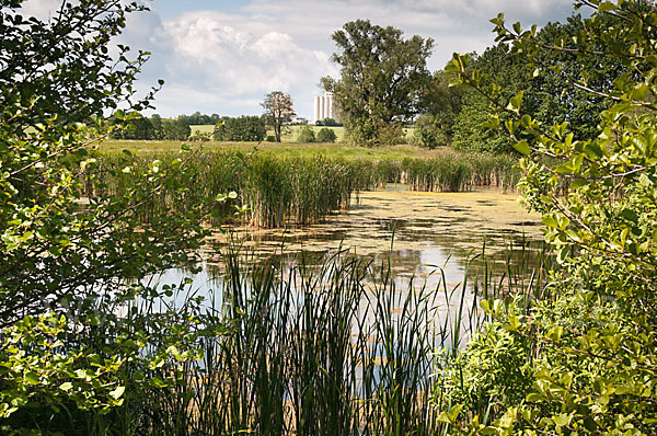 Thüringen (Thuringia)