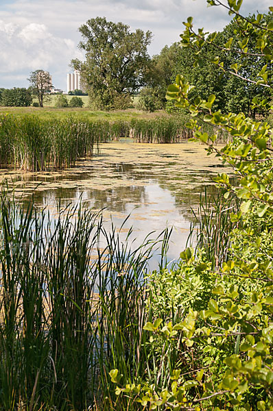 Thüringen (Thuringia)