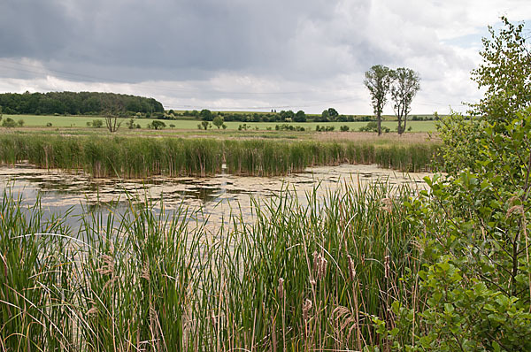 Thüringen (Thuringia)