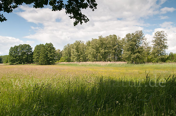 Thüringen (Thuringia)