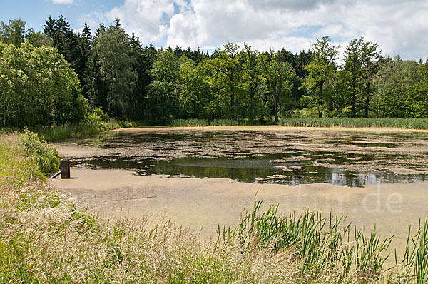 Thüringen (Thuringia)