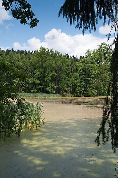 Thüringen (Thuringia)