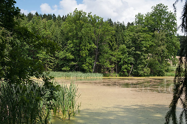 Thüringen (Thuringia)