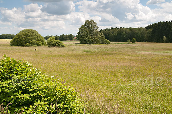 Thüringen (Thuringia)