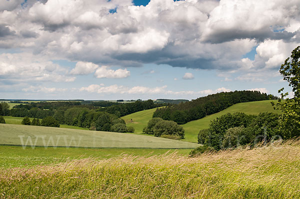 Thüringen (Thuringia)