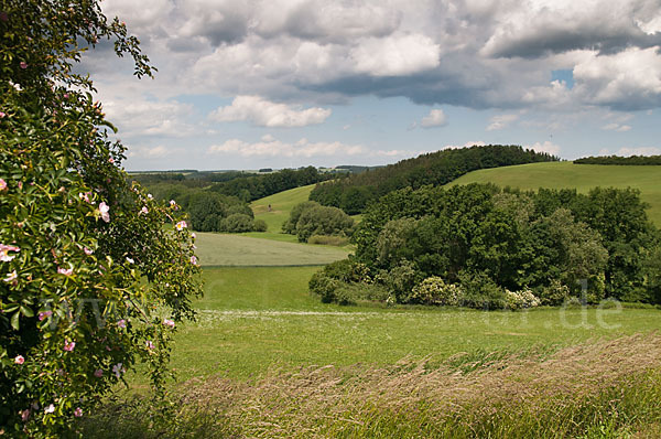 Thüringen (Thuringia)