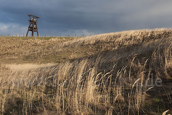 Thüringen (Thuringia)