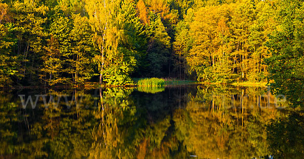 Thüringen (Thuringia)