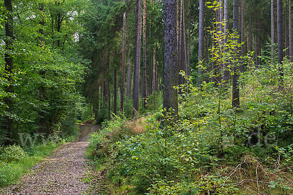 Thüringen (Thuringia)