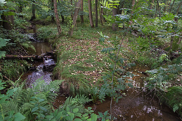 Thüringen (Thuringia)