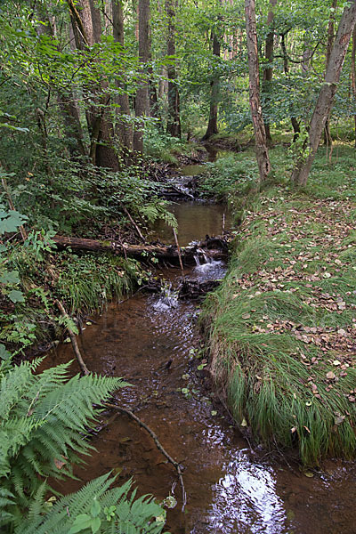 Thüringen (Thuringia)