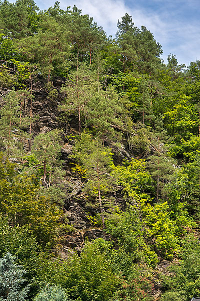 Thüringen (Thuringia)