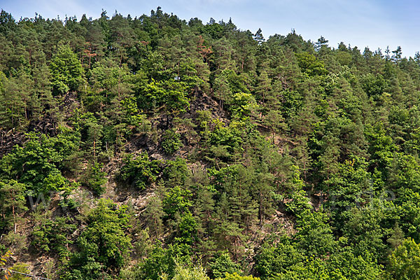 Thüringen (Thuringia)