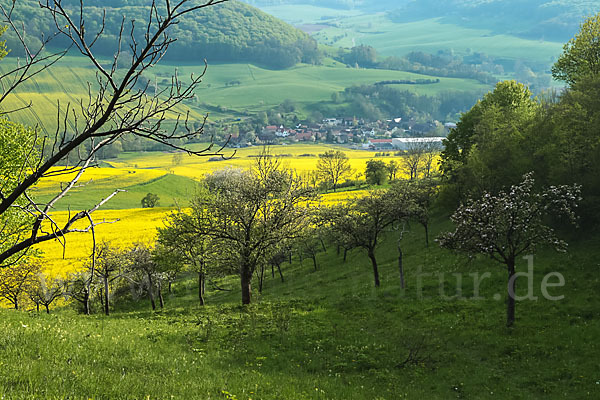 Thüringen (Thuringia)