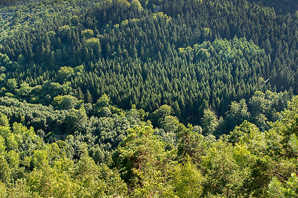 Thüringen (Thuringia)