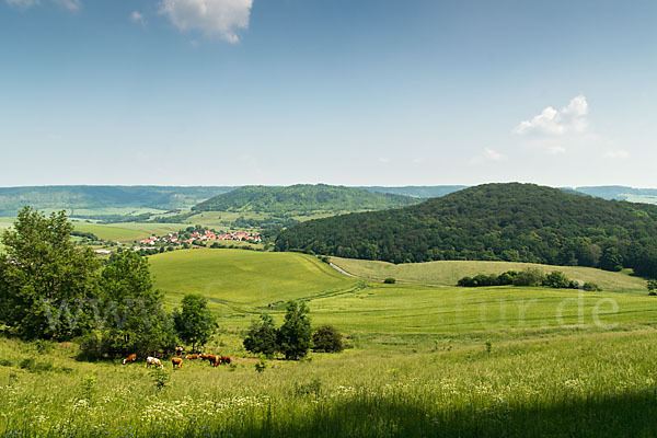 Thüringen (Thuringia)