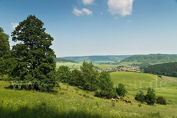 Thüringen (Thuringia)