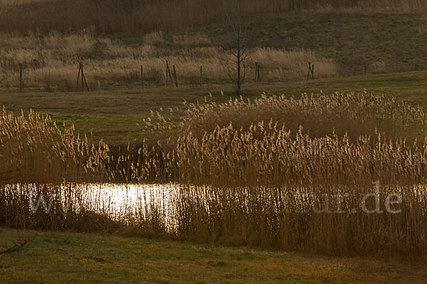 Thüringen (Thuringia)