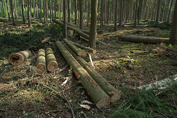 Thüringen (Thuringia)