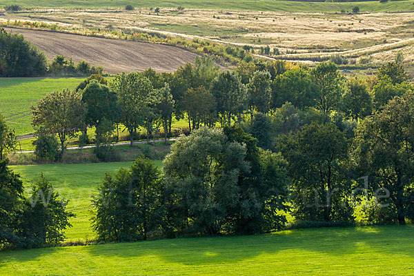 Thüringen (Thuringia)