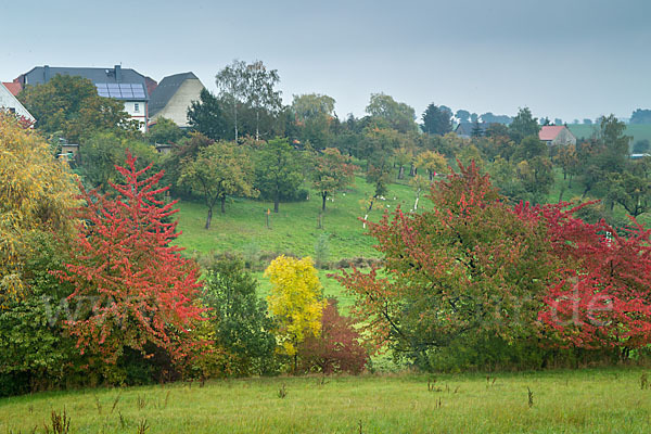 Thüringen (Thuringia)