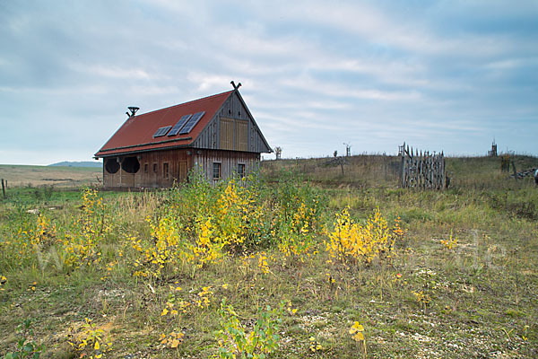 Thüringen (Thuringia)